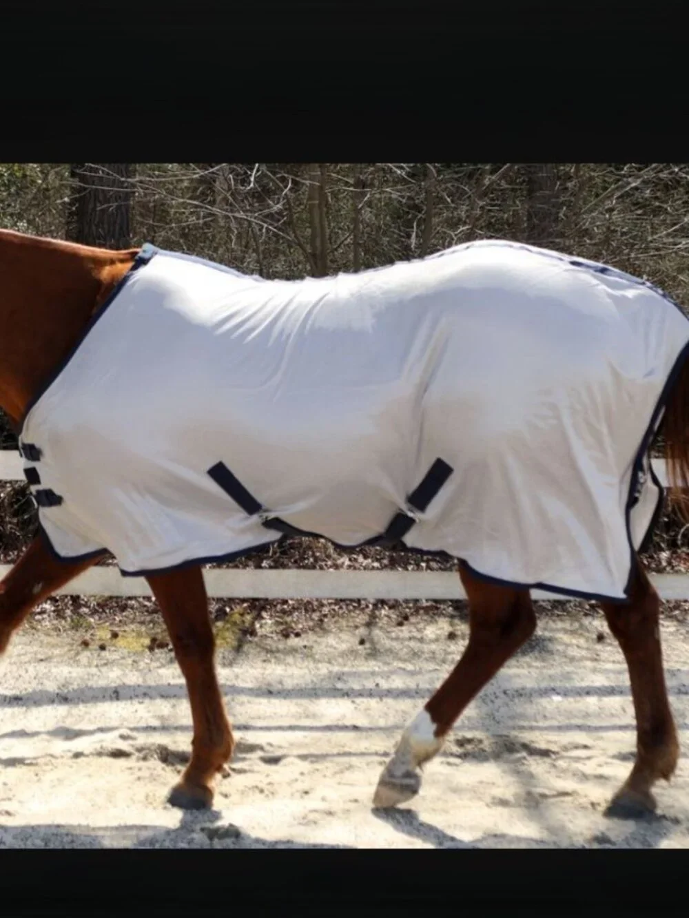 NEW RUGGED RIDE Soft Mesh Standard Neck Horse Fly Sheet with Leg Straps size 75 - Picture 3 of 5